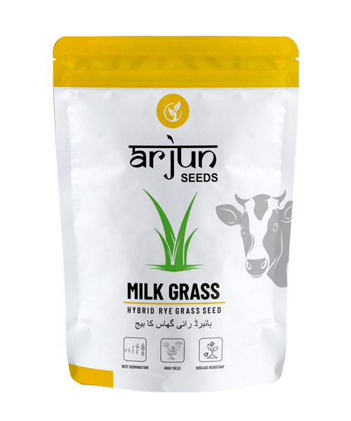 Milk Grass Seeds