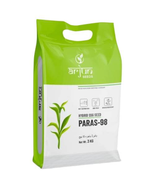paras 98